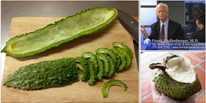 The Plant That Kills Cancer Cells, Stops Diabetes And Boosts Your Immune System!