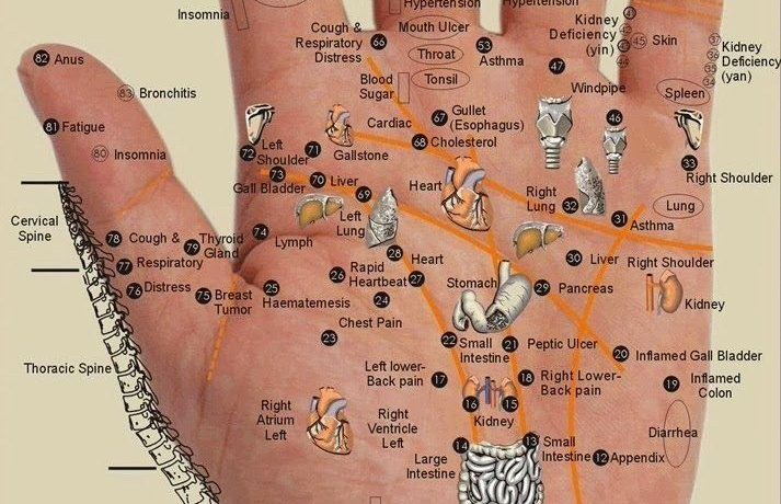 Every Body Part Is In The Palm Of Your Hand – Press The Points For Wherever You Have Pain