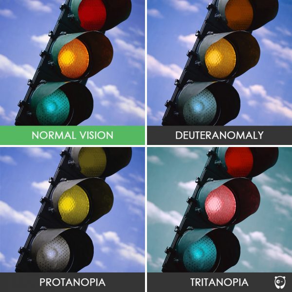 different-types-color-blindness-photos-70