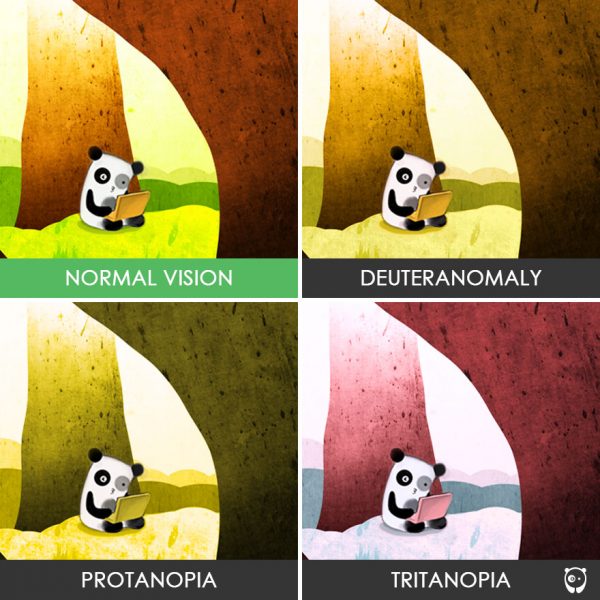 different-types-color-blindness-photos-72