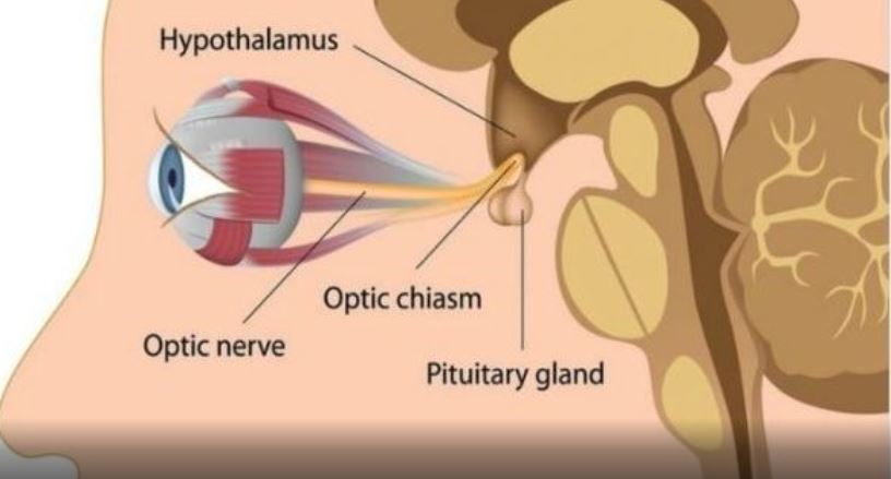 4 Exercises To Improve Your Eyesight Without Glasses