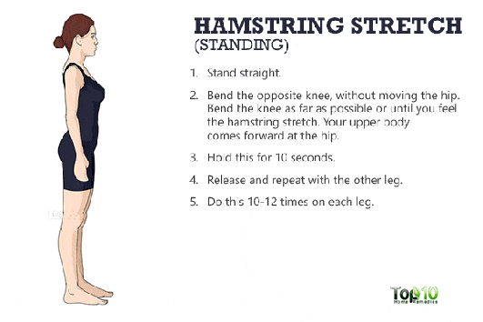 Hamstring Stretch (Standing)