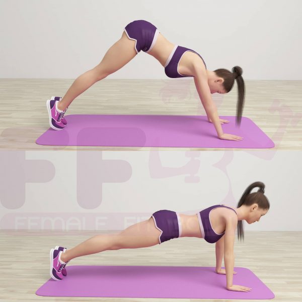 Inverted V-Plank