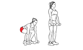 Dumbbell_Deadlift_F_WorkoutLabs-320x192