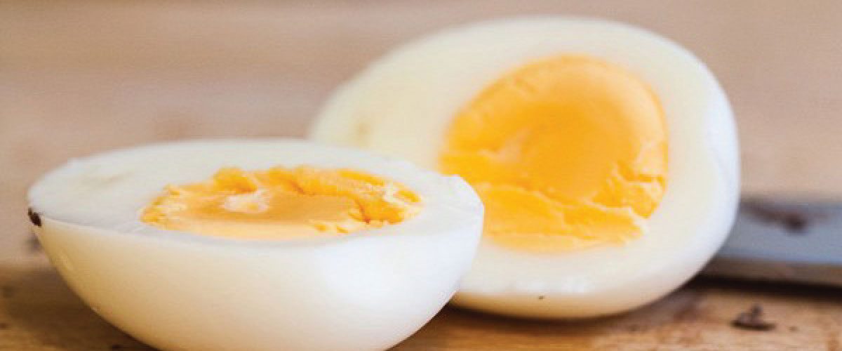 Boiled Egg Diet