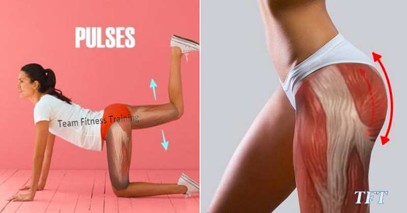 Plank Knee to Elbow
