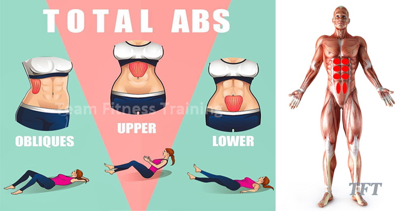 5 Effective Exercises To Get Flat Abs