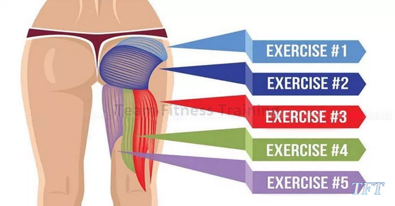 EFFECTIVE EXERCISES