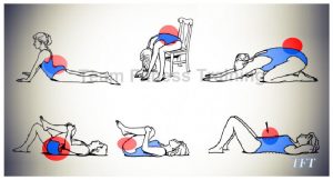 6 Exercises For Lower Back Pain Relief