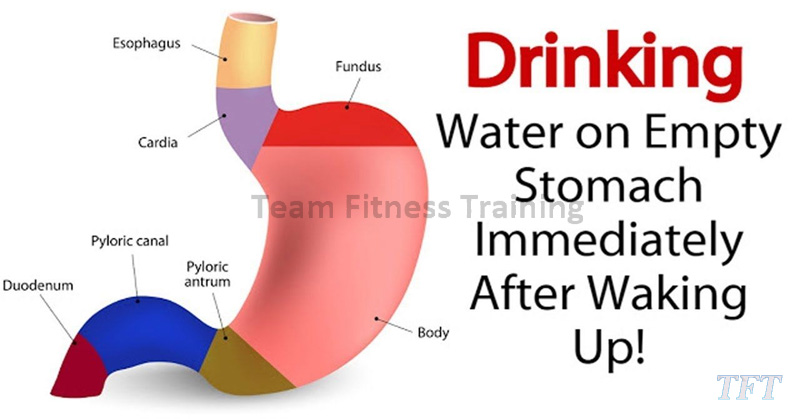 DRINKING WATER ON EMPTY STOMACH IMMEDIATELY AFTER WAKING UP!