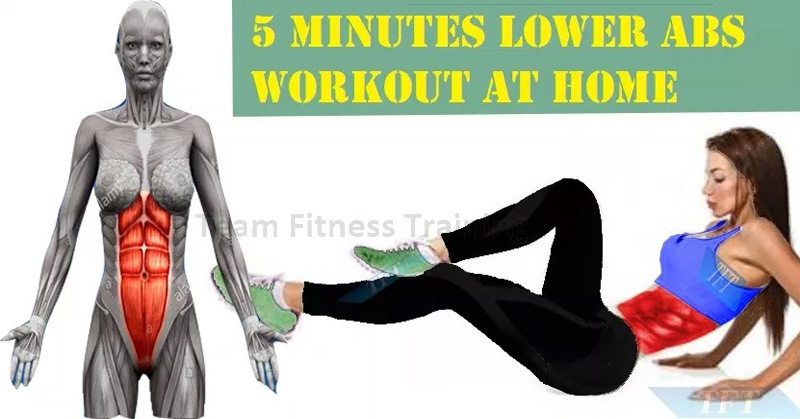 5 MINUTES LOWER ABS WORKOUT AT HOME(VIDEO)