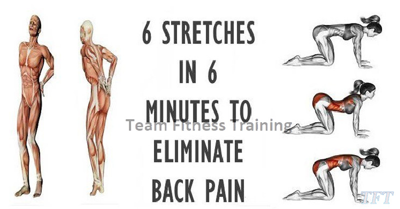 6 STRETCHES IN 6 MINUTES FOR COMPLETE LOWER BACK PAIN RELIEF