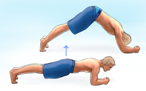 Plank Butt ups